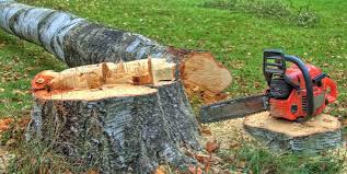  Woodland, WA Tree Care Pros