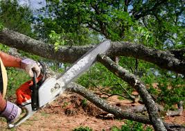 Best Lot and Land Clearing  in Woodland, WA
